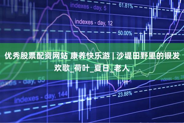 优秀股票配资网站 康养快乐游 | 沙堤田野里的银发欢歌_荷叶_夏日_老人