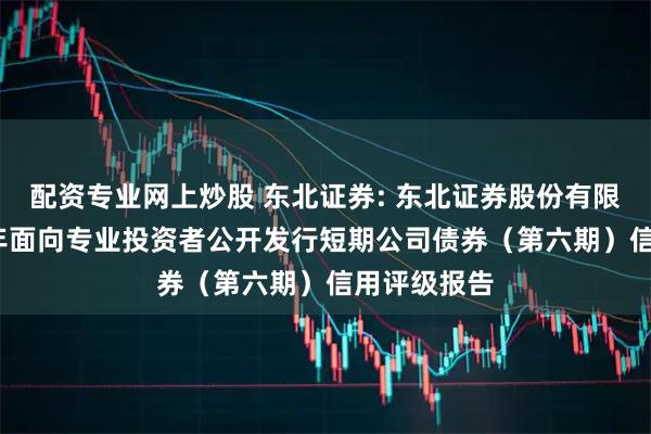 配资专业网上炒股 东北证券: 东北证券股份有限公司2025年面向专业投资者公开发行短期公司债券（第六期）信用评级报告