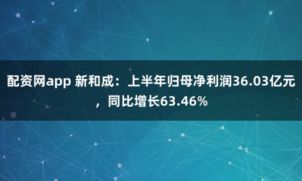 配资网app 新和成：上半年归母净利润36.03亿元，同比增长63.46%