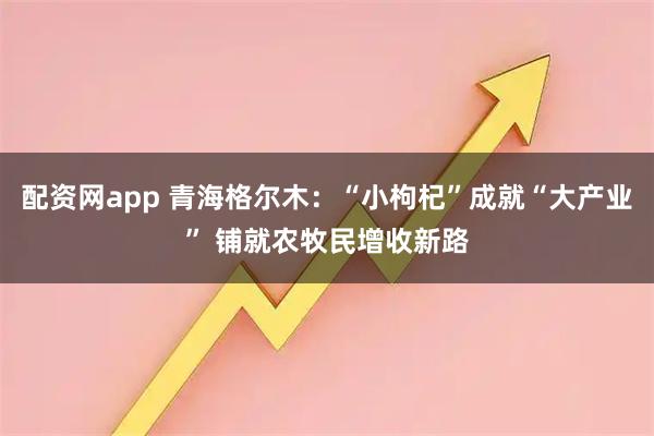 配资网app 青海格尔木：“小枸杞”成就“大产业” 铺就农牧民增收新路